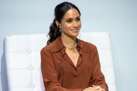 It’s ‘Insane’ What Meghan Markle Has Gone Through, Says Suits Actor
