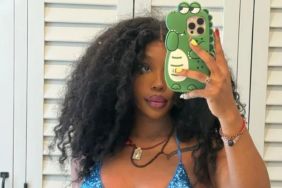 SZA Shows off Her Tiny String Bikini Look in a New Mirror Selfie