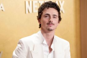 Timothee Chalamet's Comments on Opera & Ballet Labeled 'Tone-Deaf' by Insider