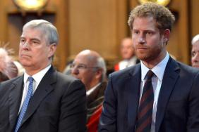Why Prince Harry Feels He & Ex-Prince Andrew Aren’t the Same — Source
