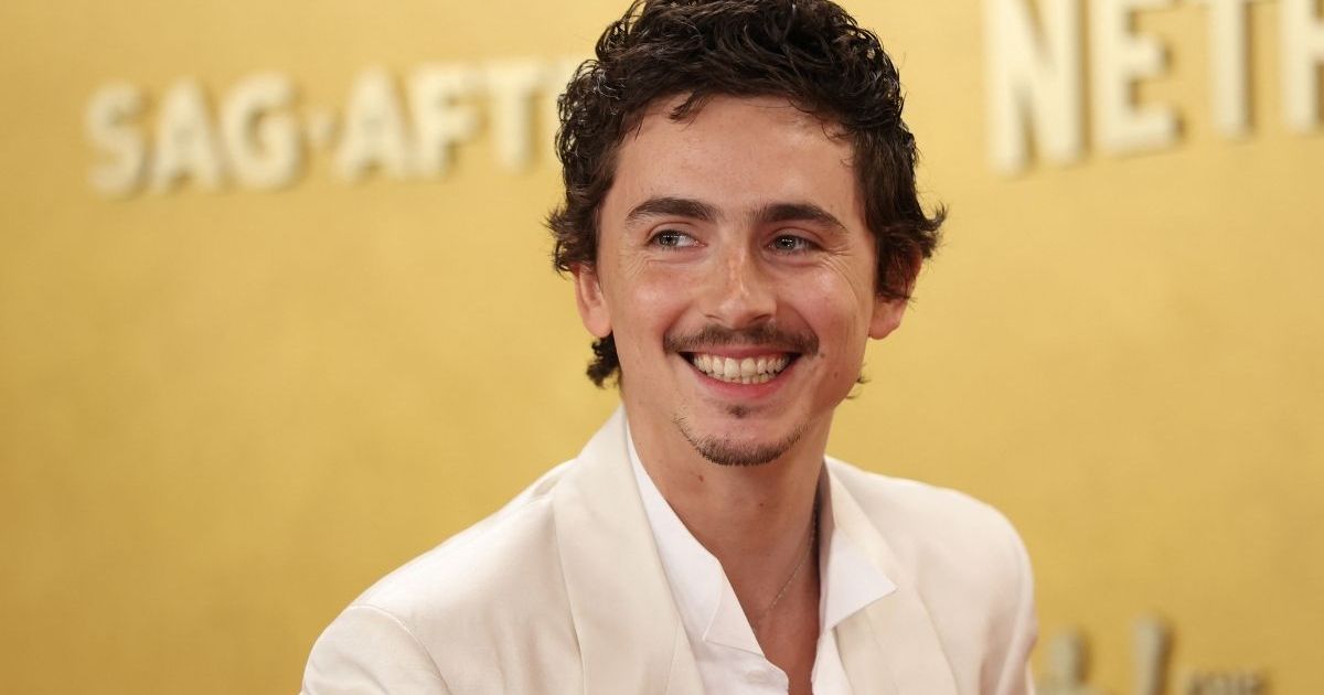 Timothée Chalamet Slammed Yet Again on Opera & Ballet Row by This Actor ...