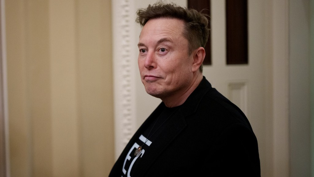 elon musk