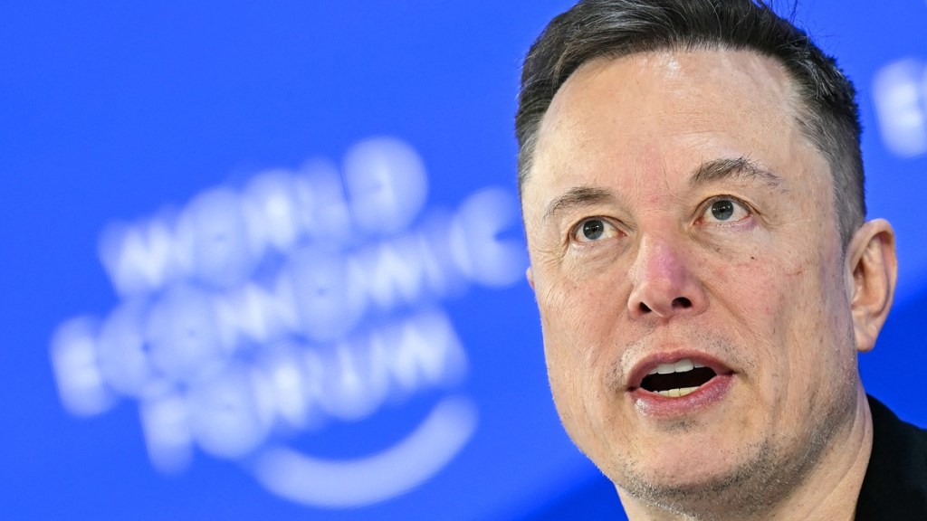 elon musk