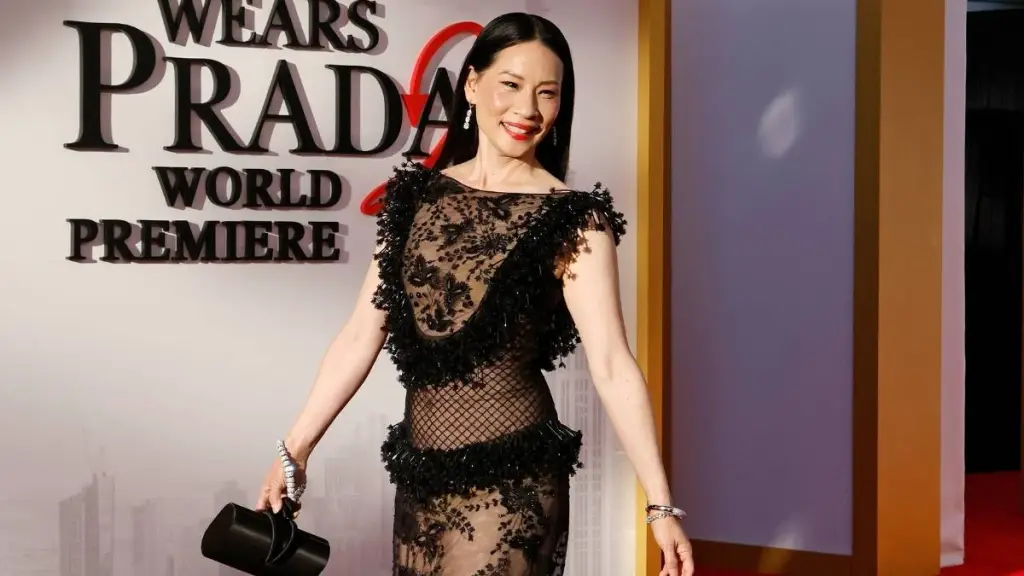 Lucy Liu's Fishnet Dress Is Unlike Anything You've Ever Seen for TDWP 2 Premiere