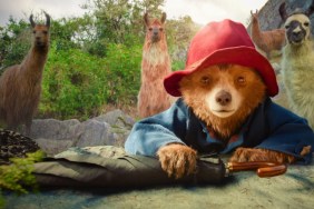 New Paddington 4 Update Is Great News