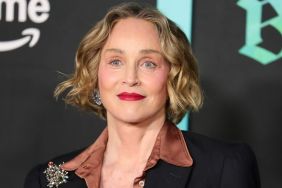 Sharon Stone Fast-Forwards Modern-Day Sex Scenes on TV