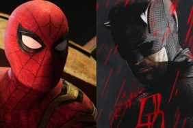 Spider-Man & Daredevil’s 1st Team up Gets Exciting Report