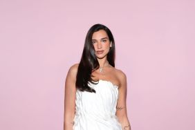Dua Lipa’s Workout Selfie in Crop Top Is as Bold as It Gets After Safari Trip
