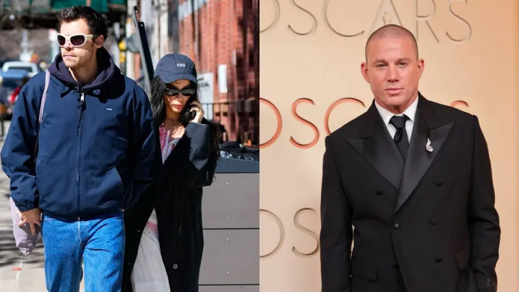 Zoe Kravitz's Ex Posts Cryptic Poem Amid Alleged Harry Styles Engagement