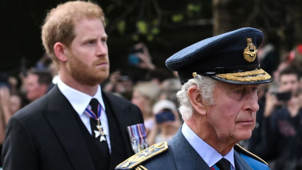 King Charles & Prince Harry Have Secret Reunion Plans — Source