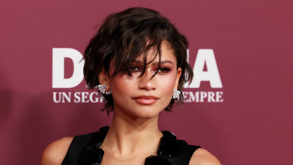Zendaya Pairs Sheer Crop Top With Skirt Ahead of Movie Release