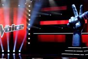 The Voice Coach Confirms Season 30 Return After Season 29 Finale