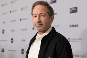Beloved Days of Our Lives Star Joins David Duchovny’s Soap Comedy