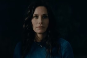 Courteney Cox & David Harbour’s ‘Insane’ Thriller Gets Exciting Release Update