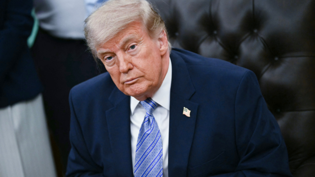 Donald Trump’s White House UFC Cage Starts Taking Shape on Lawn