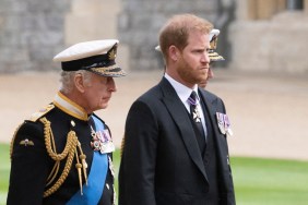 king charles