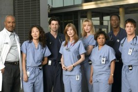 New Grey's Anatomy Spin-off TV Show Ordered at ABC, First Details Revealed