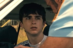 Timothée Chalamet's Divisive R-Rated Crime Movie To Stream on Netflix