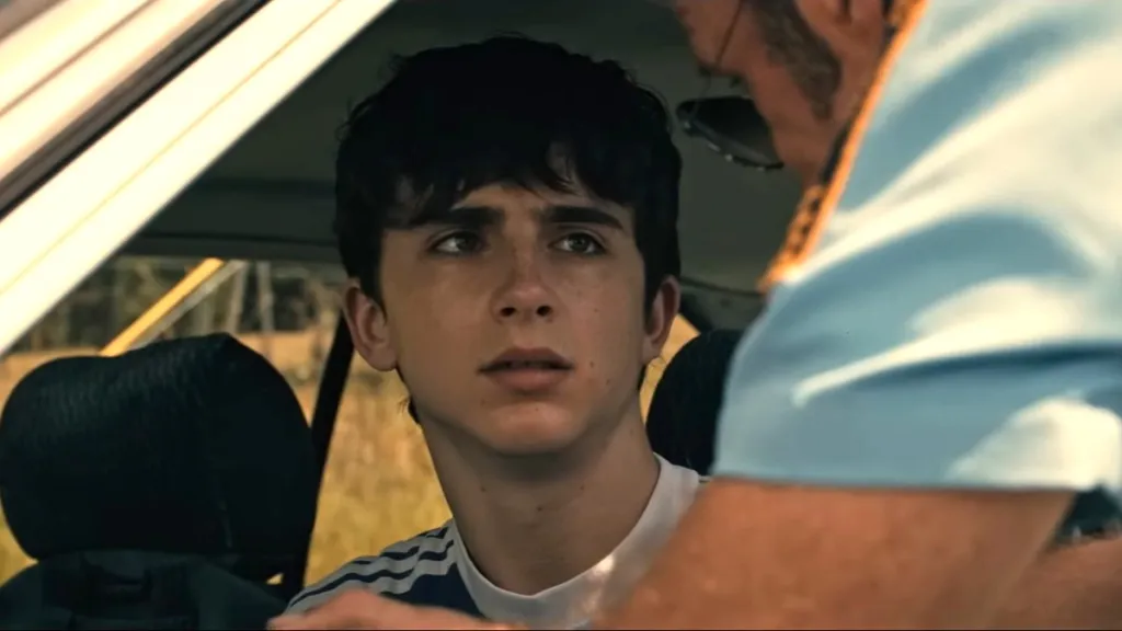 Timothée Chalamet's Divisive R-Rated Crime Movie To Stream on Netflix