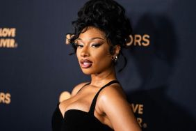 New Megan Thee Stallion Photos Prove Plunging Dresses Are Her Thing