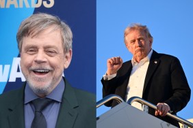White House Slams ‘Sick’ Mark Hamill for Post Showing Donald Trump in Grave