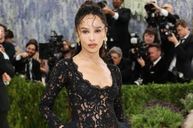 Zoë Kravitz Slams Hulu’s 'Tacky' Harry Styles Nod To Promote Canceled Series