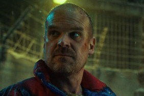 David Harbour Envied ‘Stranger Things’ Kids for This Hilarious Reason