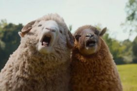 Hollywood Movies More Likely To Feature Talking Animals Than Older Women — Report