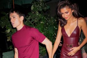 Tom Holland & Zendaya Just Had ‘Wonderful Addition’ to Their Family