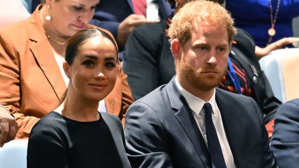 Meghan Markle & Prince Harry Summer Plans 'Causing Strain' — Source