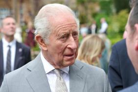 King Charles Allegedly Avoids Meeting with Jeffrey Epstein Survivors