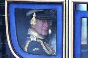 King Charles’ Purges Photo From Private Quarters
