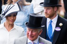 Meghan Markle's Wedding Photo Quietly Features an Unexpected Royal