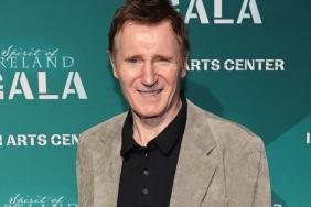 Liam Neeson to Play Great Gatsby-like Character in New Comedy Movie, More Cast Revealed