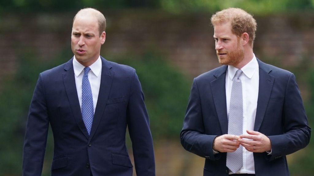 Prince William Warns Prince Harry Against 'Taking Swipes' — Source