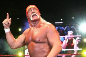Insider Details Late Hulk Hogan’s Longtime Drug Habit