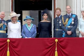Royal Family Issued Stark Warning by Expert Over TV Show Return