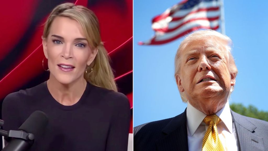 Megyn Kelly Calls Out ‘Tiny Group’ of Donald Trump Supporters
