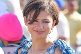 Zendaya Soaks Up the Sun in Sheer Braless Look