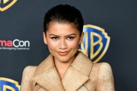 Zendaya Strikes a Bold Pose in a Plunging Mini Dress for New Shoot