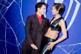 Zendaya Posts Rare Tom Holland PDA Photo for Fans