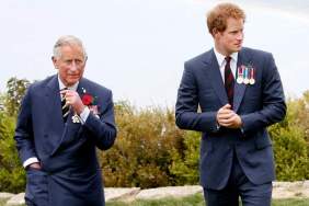 Prince Harry Hurt Because of King Charles — Source