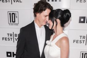 Katy Perry Gets Cozy With Boyfriend in Dress Compared to Towel Animals