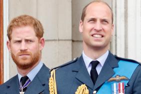 Prince Harry Has One & Only Path Back to Prince William — Source