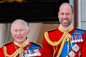 Prince William Surpasses King Charles in Major Sector — Report