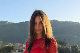 Emily Ratajkowski's Braless Fishnet Dress Steals the Show During a Close Call