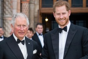 prince william