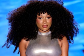 megan thee stallion