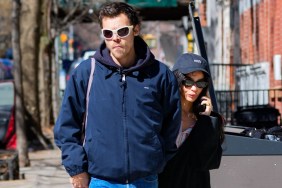 harry styles