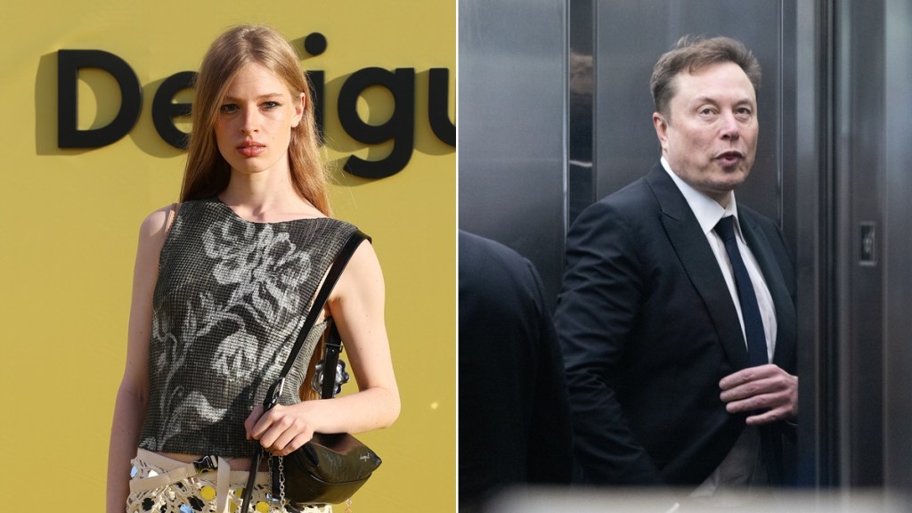 vivian wilson elon musk
